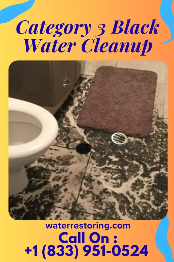 Category 3 Black Water Cleanup in Hurtsboro, AL